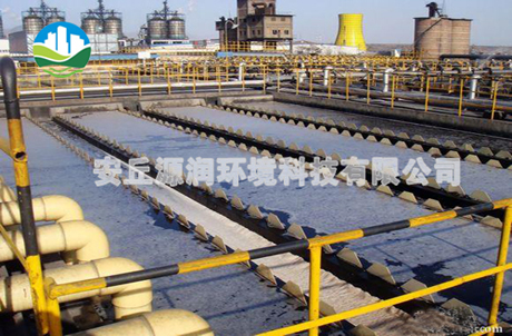 北京楓樺木體育木地板施工