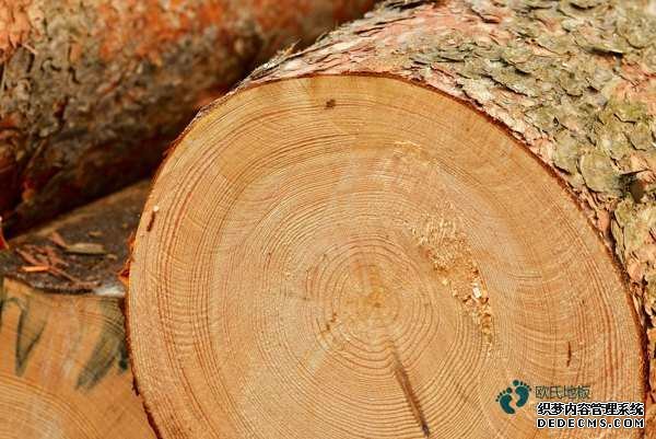 場館籃球地板報(bào)價(jià)